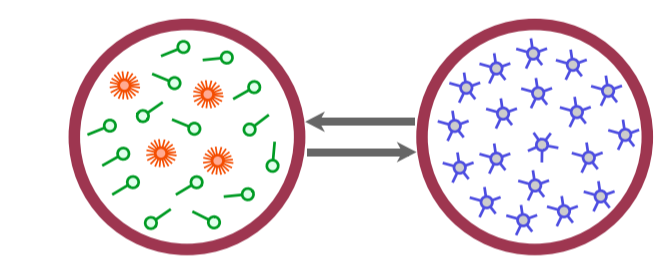 image-20210804143857241