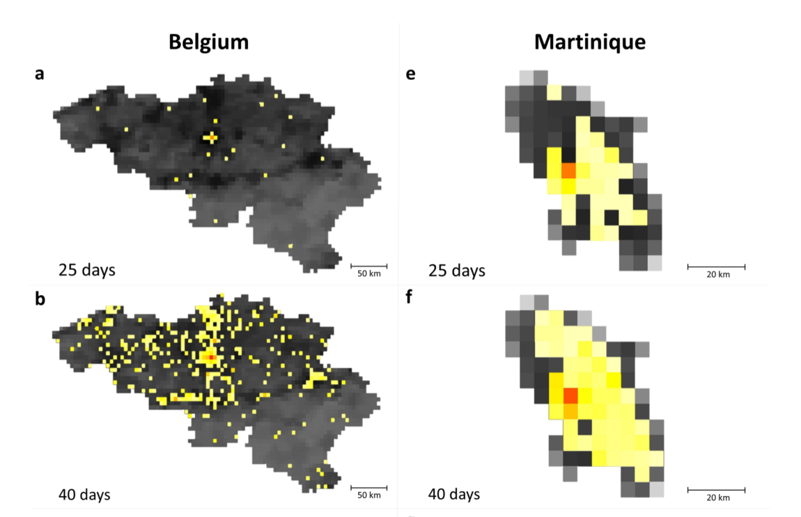 image-20210827222533738