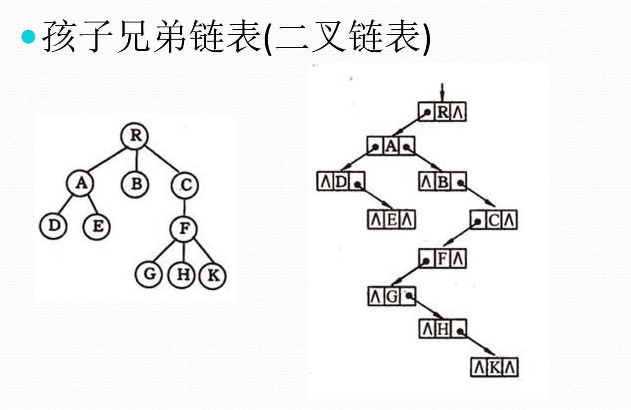 孩子兄弟表示法
