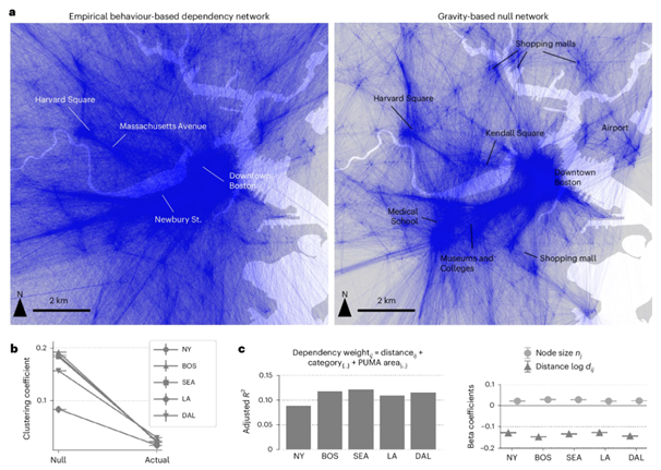 image-20251121150319065